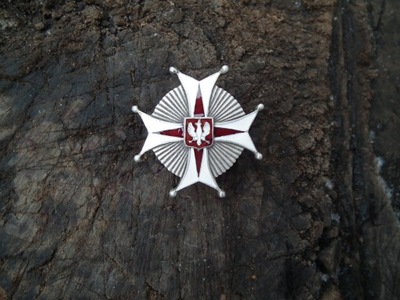 Odznaka pułkowa 22 pułk Ułanów Podkarpackich-Brody