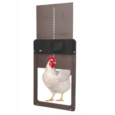 AUTOMATIC DOOR FOR HEN GOOSE DUCK