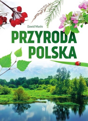 Przyroda polska Dawid Masło KSIĄŻKA