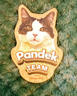 magnes z kotem Pandkiem