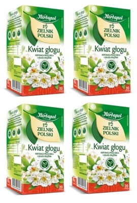 4x 20x 2g HERBAPOL Zielnik Polski kwiat głogu herbata ziołowa 80tb