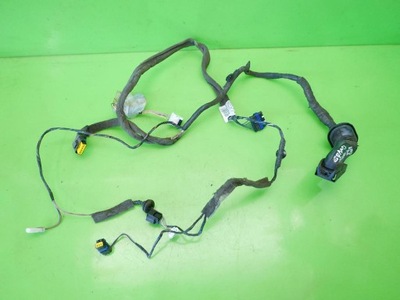 Жгут электропроводка дверь правая задняя renault scenic ii фото №1
