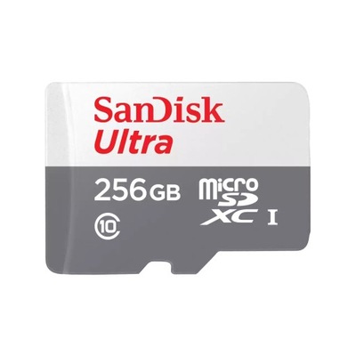 KARTA SANDISK ULTRA MICRO SDXC 256GB 100MB/s UHS-I