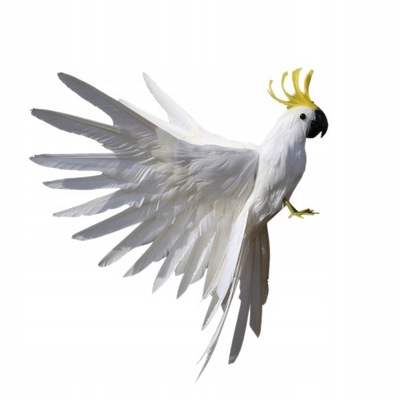 Sztuczna Papuga Dekoracja Ptak Zwierząt Rysunek