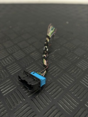 Bmw 3 f30 f31 колодка проводка двері перед 9221027 фото №1