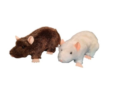 Szczury 20 cm, 2 kolory Pluszaki DUBI