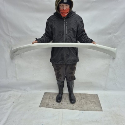 Opel insignia a lift 13- спойлер бампера перед передний фото №1