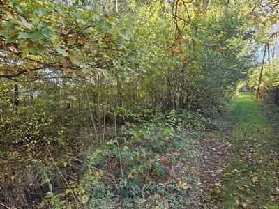 Działka, Chynów, Grójecki, 9600 m²