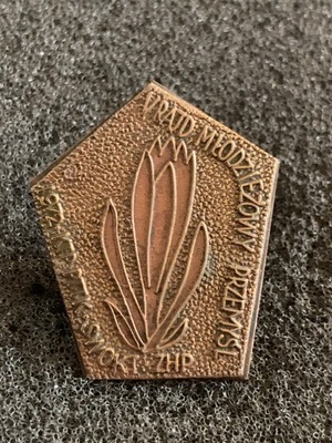 RAJD MŁODZIEŻOWY ZHP PRZEMYŚL 1972