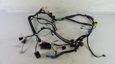 SUZUKI MARAUDER VZ 800 INSTALACIÓN JUEGO DE CABLES ELÉCTRICA  