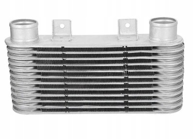 Інтеркулер mazda b2500 / ford ranger 1998 - 2005 4518371 фото №1