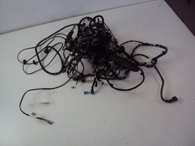 Електропроводка салону renault megane iv hb 1.6 d 16r фото №1