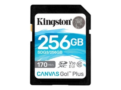 Kingston 256GB Sdxc Canvas Go Plus 170R
