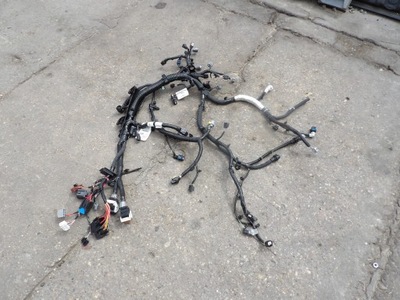 Джгут електропроводка 240119399s renault clio фото №1