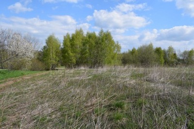 Działka, Chmielnik (gm.), 2000 m²