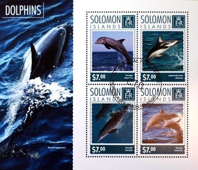 DELFINY Fauna morska Wyspy Salomona #08246