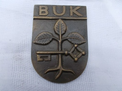 MEDAL - MIASTO BUK