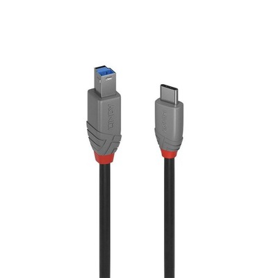 Kabel Lindy 1M USB 3.2 Typ C do B, Anthra Line, 36666