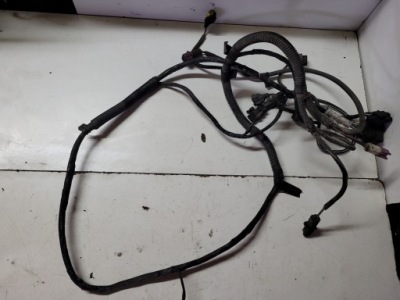 Renault espace iv 1.9 dci джгут електропроводка лампа фото №1