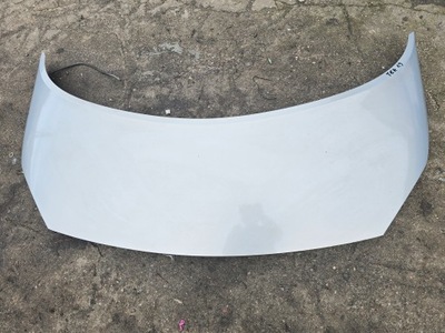 Капот renault scenic ii tea19 фото №1