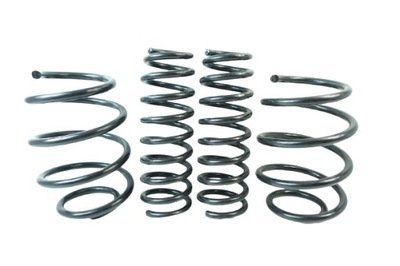 SPYRUOKLĖS ŽEMINANČIOS EIBACH PRO KIT E10-46-025-01-22 HYUNDAI I30 KIA CEED 