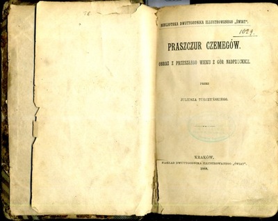 Turczyński Praszczur Czemegów (1888)