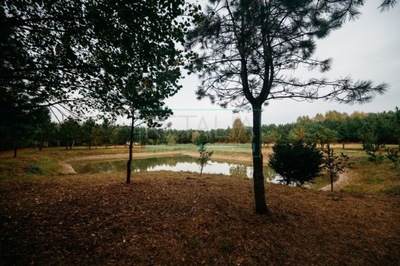 Działka, Podlasie, 12000 m²