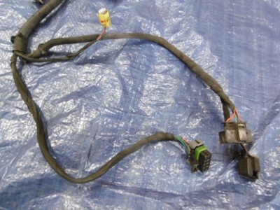 Електропроводка джгут штекер лампи ксенон лівий перед mercedes r-klasa w251 фото №1