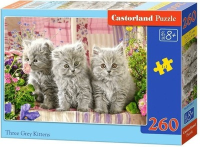 Puzzle 260 Three grey kittens Castorland B-27491-1