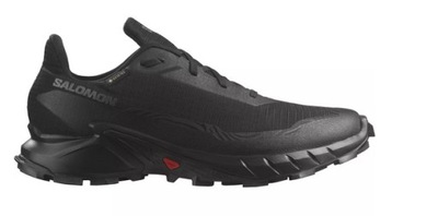 Buty Salomon Alpha 5 GTX L47307500 R. 44