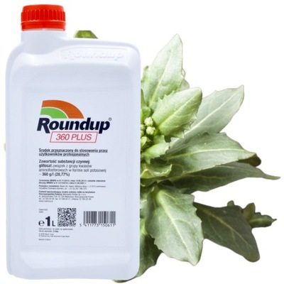 ROUNDUP RANDAP ŚRODEK CHWASTOBÓJCZY CHWASTY PERZ