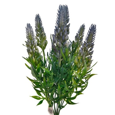 Dodatek bukiecik niebieski