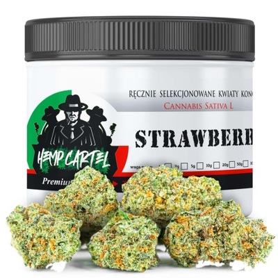 SUSZ KONOPNY CBD | STRAWBERRY HAZE HOLENDER MOCNY NATURALNY 100g