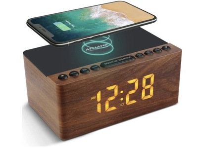 Radio baterie FM ANJANK DWUIAKL-8456