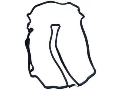 Victor reinz 71-17813-00 прокладка, крышка головки цилиндров фото №1