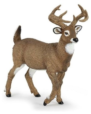 Mulak białoogonowy PAPO