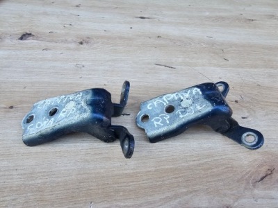 Петли дверь правый перед передние chevrolet captiva комплект фото №1