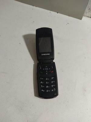 Telefon Samsung sgh-x160