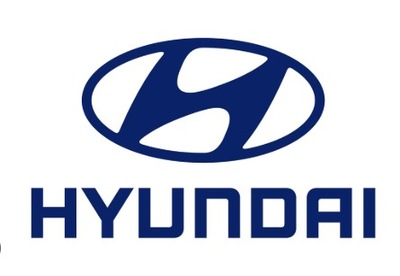 Hyundai getz петля капот правий 791201c000 фото №1