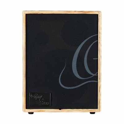 Ortega C-One Ash Combo do gitary akustycznej Wzmacniacz 100W