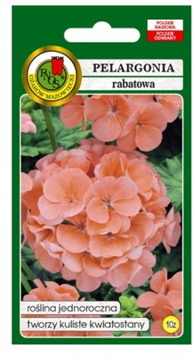 PNOS Pelargonia rabatowa łososiowa 10z