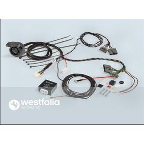 13857J3.WESTFALIA 305438300113 JUEGO ELÉCTRICO ZACZEPU REMOLQUE  