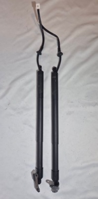 Lexus nx ii амортизатори електричний кришки задній фото №1