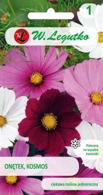 ONĘTEK (KOSMOS) - urokliwe kwiaty z wiejskiego ogrodu (L)