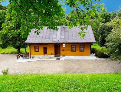 Dom, Arłamów, Ustrzyki Dolne (gm.), 100 m²