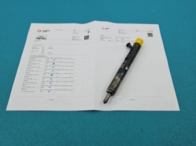 Test форсунка renault scenic ii ejbr02101z 1.5 dci фото №1