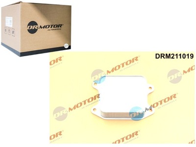 Радиатор масла vag dr.motor automotive фото №1