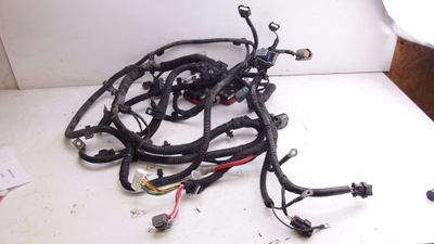 Kangoo ii z.e джгут відсік двигуна фото №1