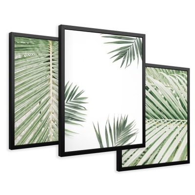 ZESTAW Obrazy w ramie plakaty liście palma tropikalne tryptyk 43x99