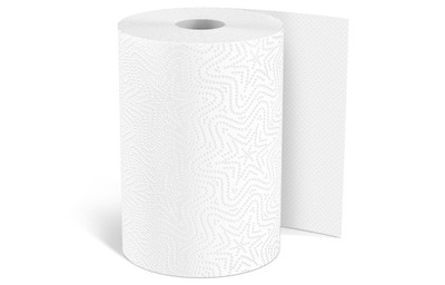 Ręcznik papierowy celuloza Almusso biały